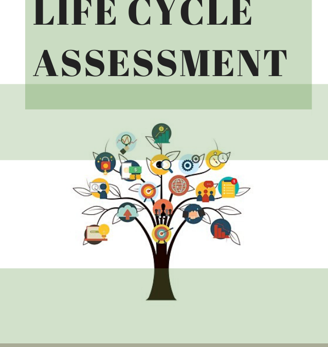 Il Life Cycle Assessment (LCA) e la valutazione degli impatti sull’ambiente