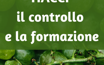 HACCP: il controllo igienico e la formazione